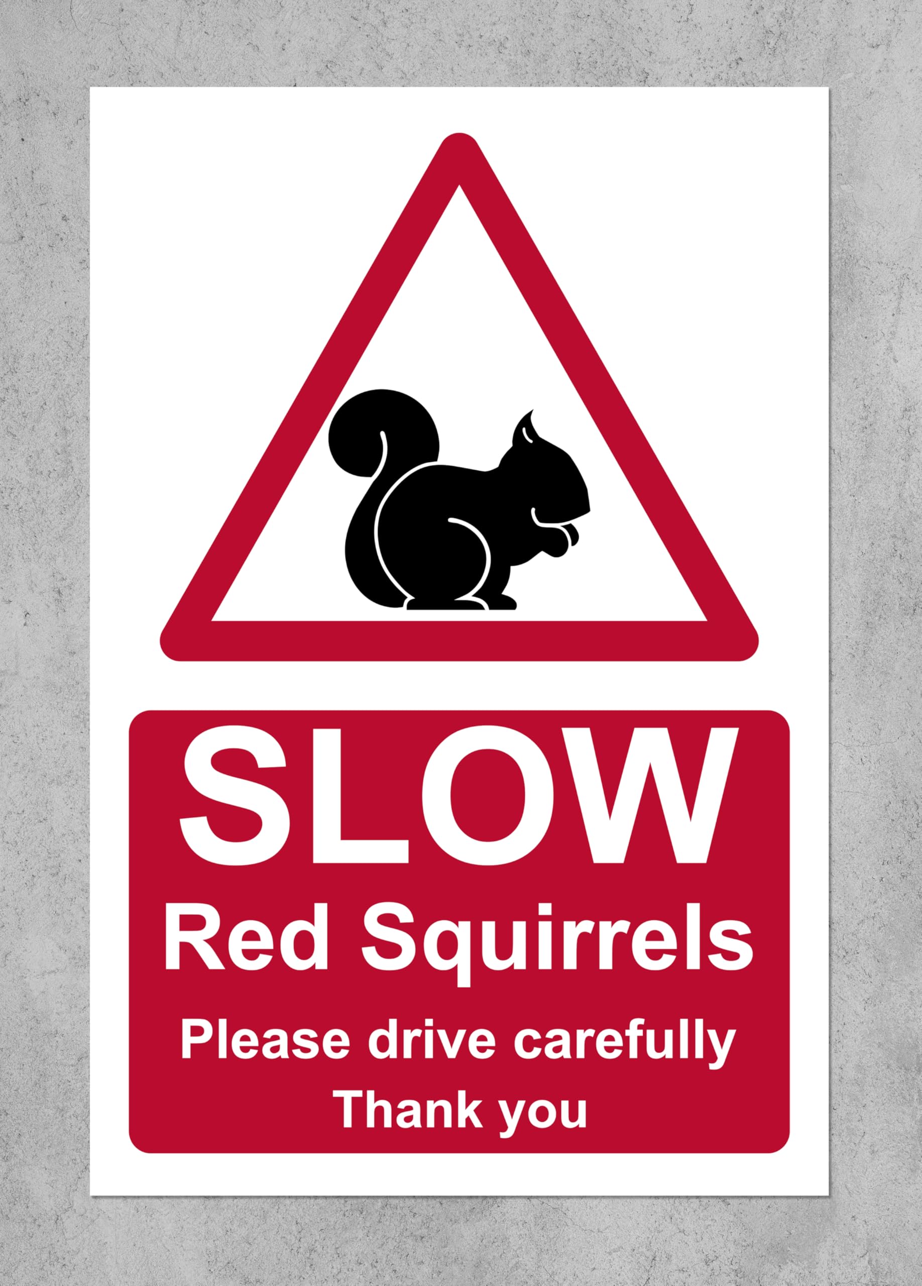 Slow red squirrels please drive carefully safety sign - 3mm Aluminium sign (200mm x 150mm)