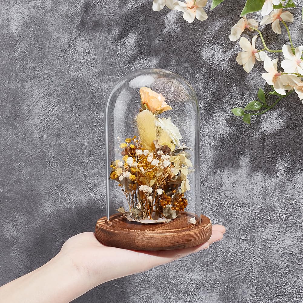 24 Glass Dome Centerpiece