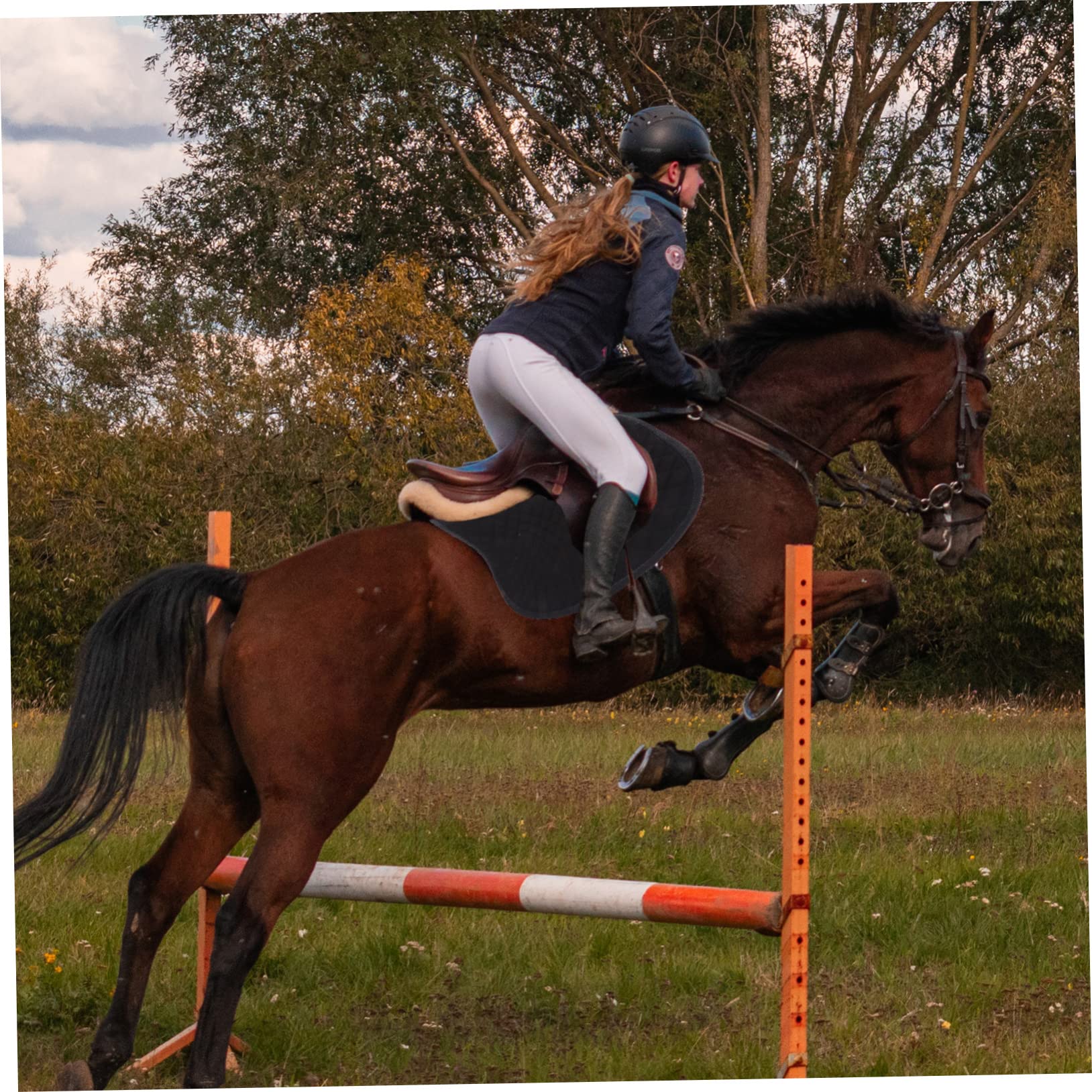 TOYANDONA Almohadilla Antideslizante para Silla de Montar para Caballo, Acolchado Eva y Algodón, Fácil de Instalar, Negro, para Montar