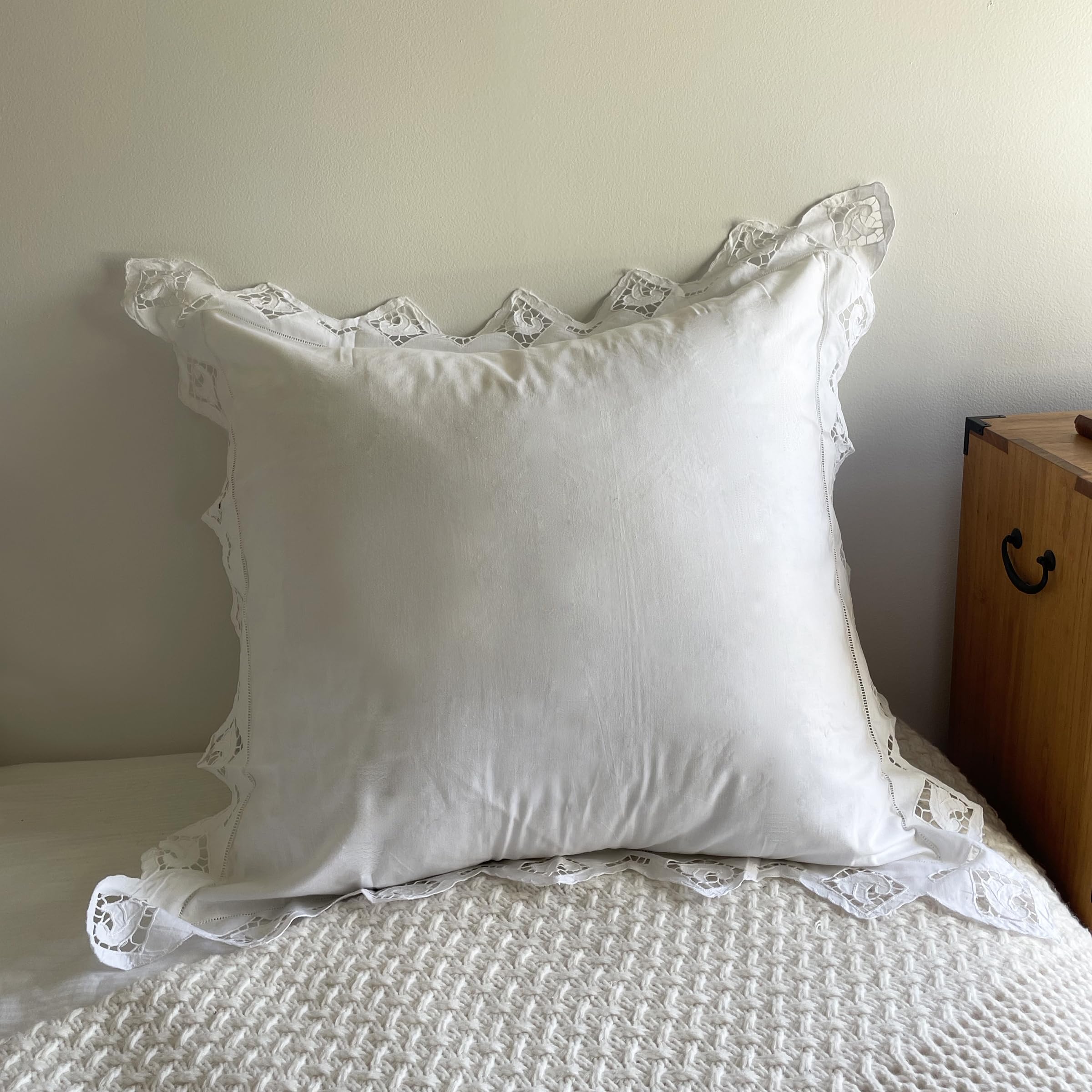 Embroidered and LACE 2-PC Pillow Decorative Pillow Set, 26 inches, Ophelia Euro White 26" 2 Count