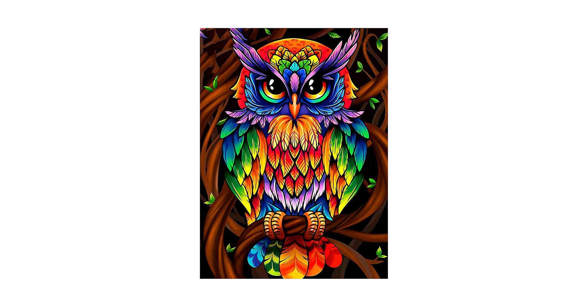 Amazon | フクロウ動物カラフルな5Dフルドリルダイヤモンド絵画