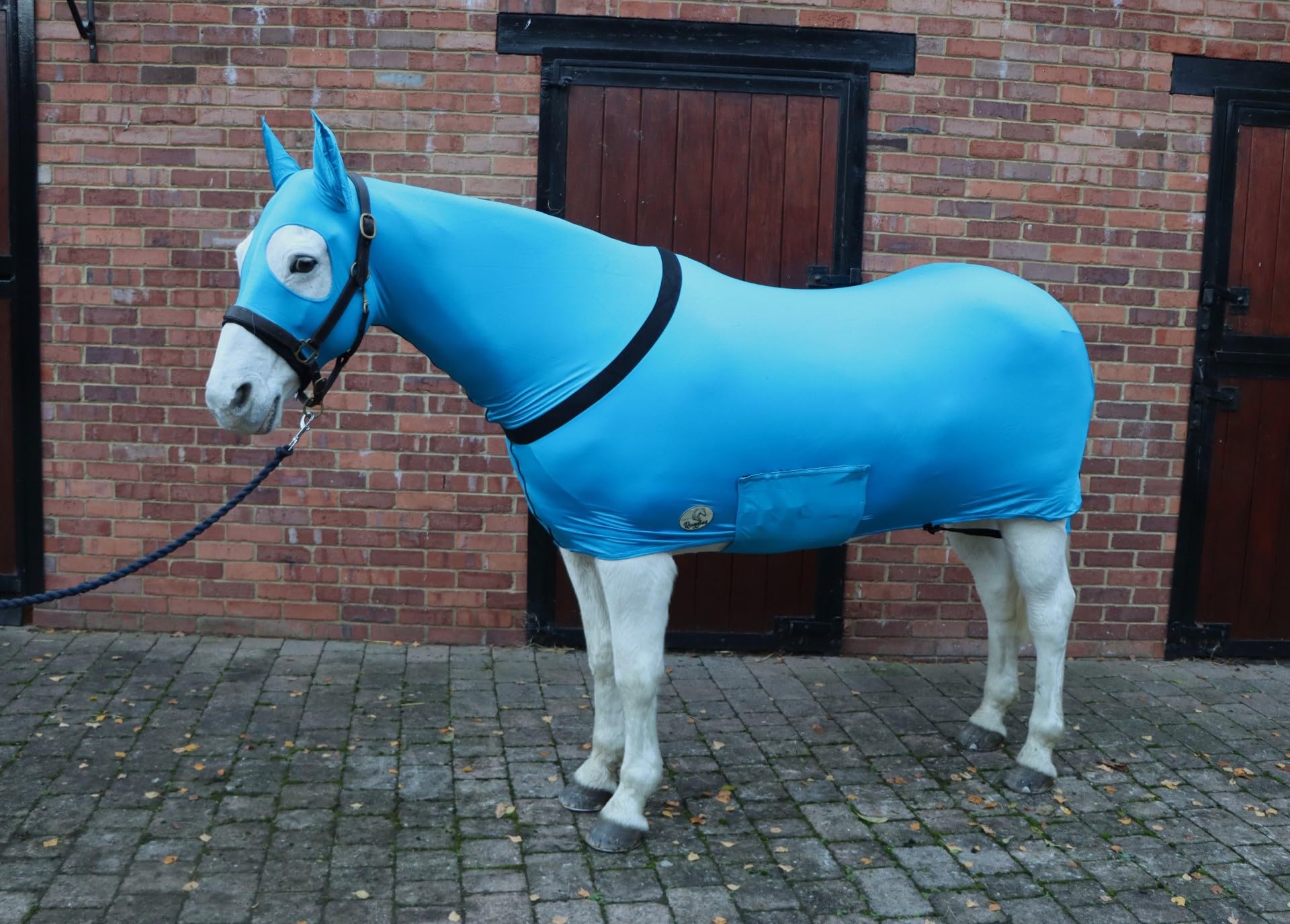 Ruggles Lycra Body Suit for Horse/Pony | Heat Sealed Seams | Detachable Tail Sleeve | Stretch Under Rug | Anti Rub Vest (Extra Small With Ears, Aqua)