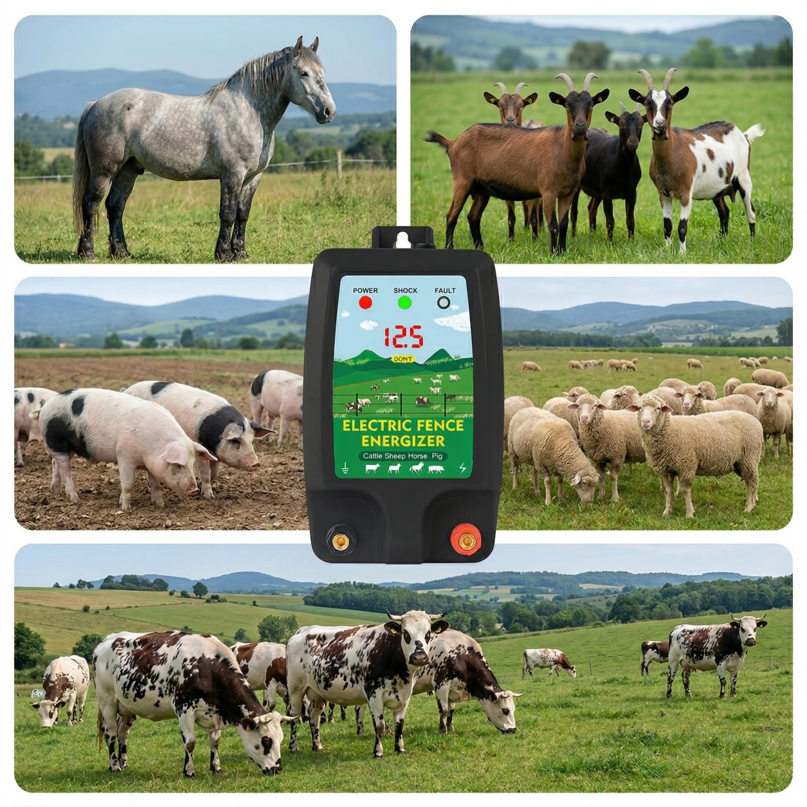 Dispositivo di recinzione elettrica 12 V con display a LED, portata 10 km, 2 Joule, 12 kV, per la protezione di animali da fattoria, pollame, pascoli e giardini (nero)