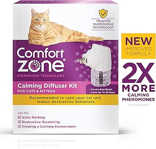 small dog window perch