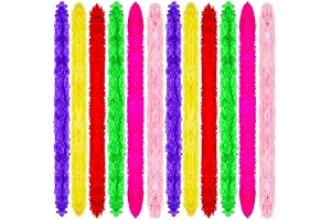 24 Pcs 6.6 ft Colorful Feather Boas