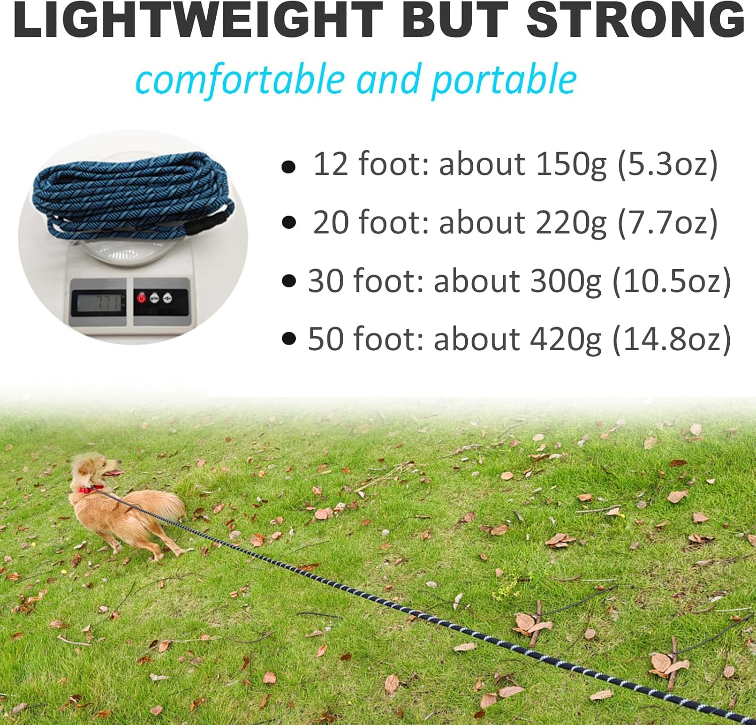 Reflective Long Dog Leash Slip Lead, No-Choking 12... 14 Reflective Long Dog Leash Slip Lead, No-Choking 12...