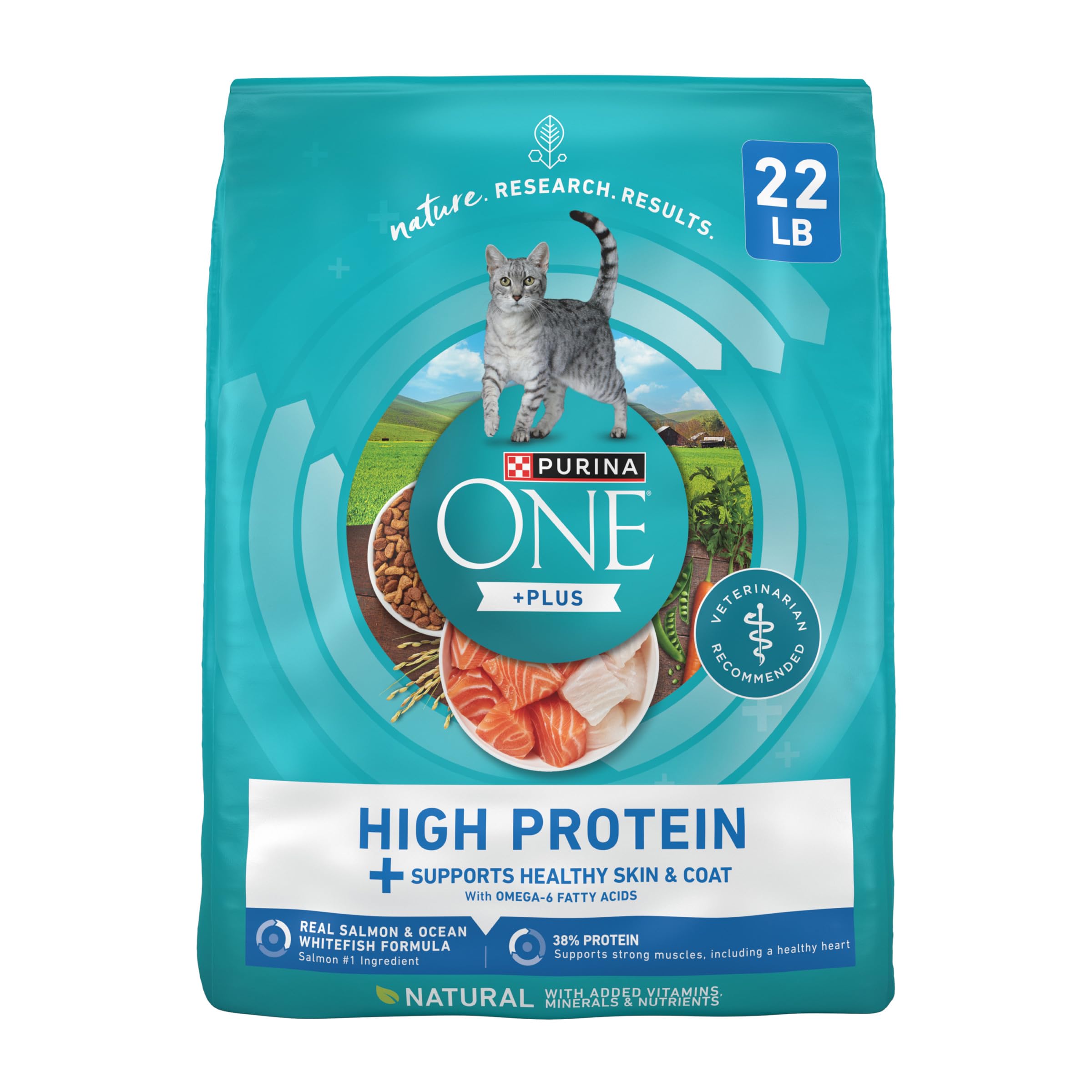 Purina ONE Plus High Protein Cat Food Dry Salmon and Ocean Whitefish Cat Skin and Coat Health Formula - 22 lb. Bag