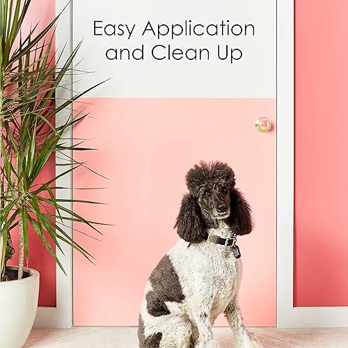 Miniatura 6 de Krylon K05649007 COLORmaxx - Pincel para pintar