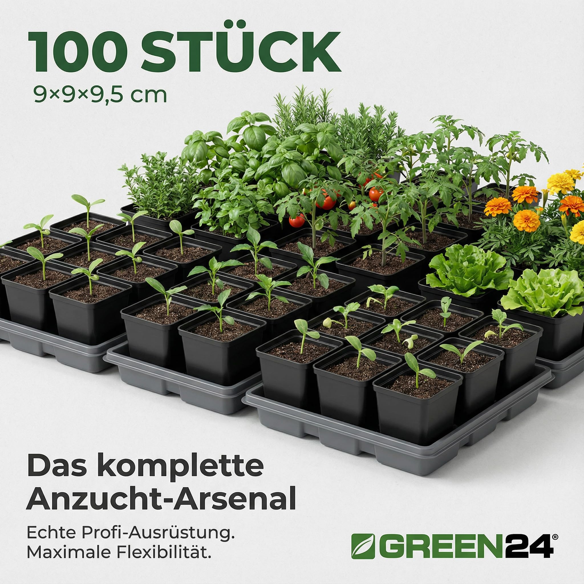 GREEN24 100 Stck. Pflanztpfe 9x9x9,5cm Vierecktopf Profi Anzuchttopf  Pflanztopf Blumentopf Vierkant-Tpfe (100, 9x9x9.5): Amazon.de: Garten