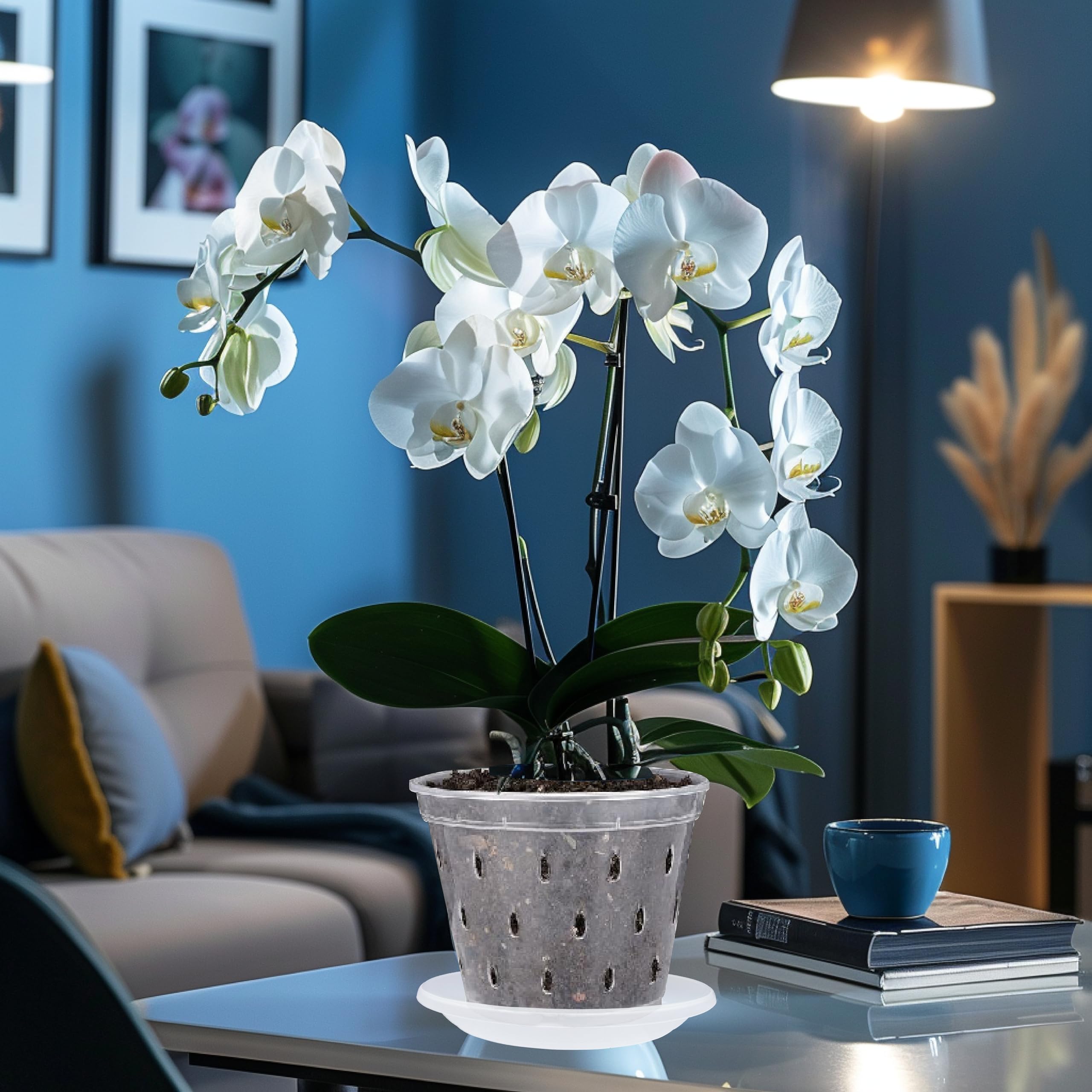 Garten lux Set of 10 Pcs. Transparent Orchid Pots with Drainage Holes diameter 6.70 Inch 1.5L. Diameter 17cm and 10pcs.Saucers Plastic for Indoor Use - Image 3