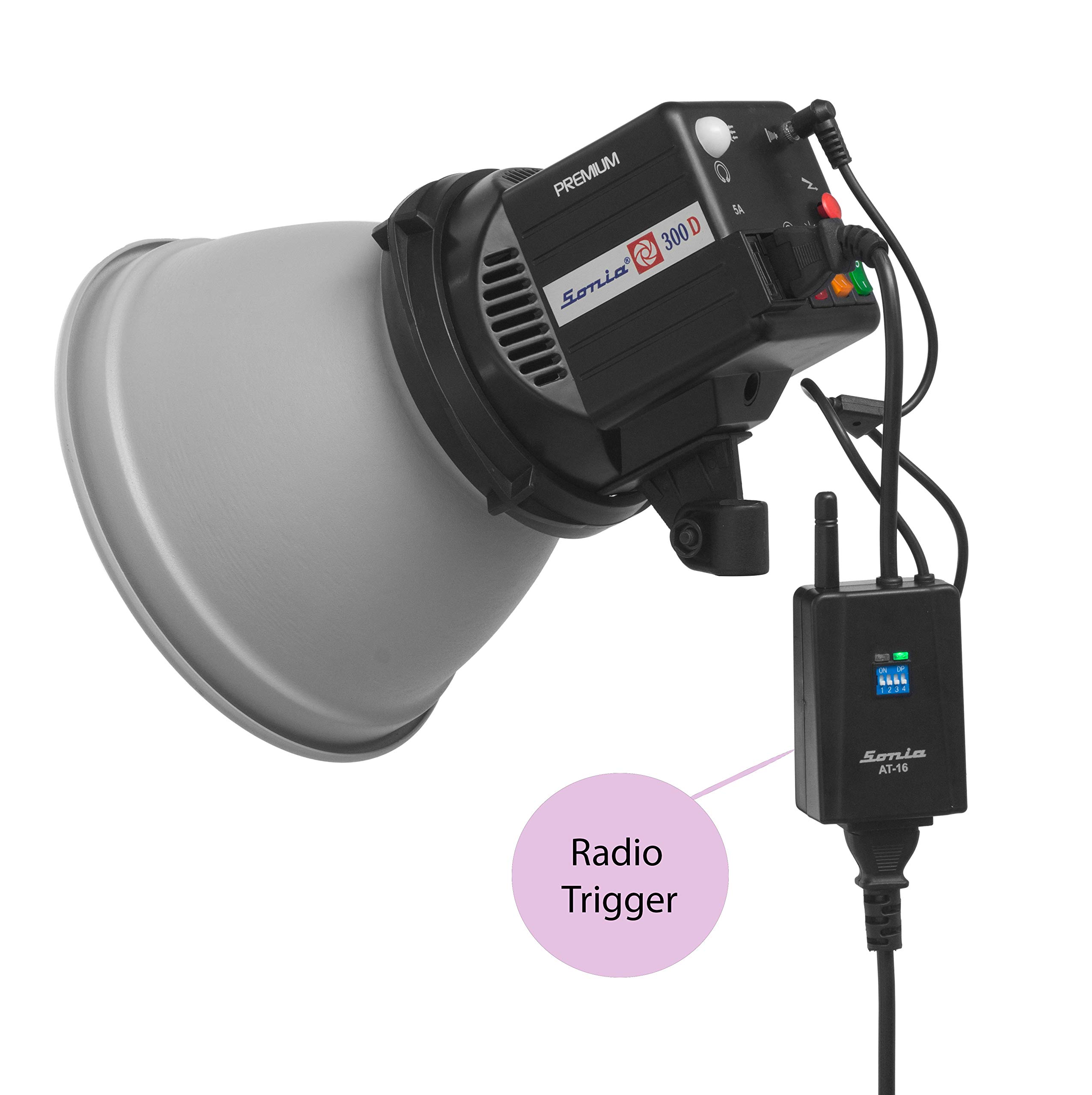 Sonia 300d Simpex Pro 300d With Softbox Studio Light Photo Pro