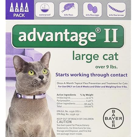 advantage for cats 4 pack