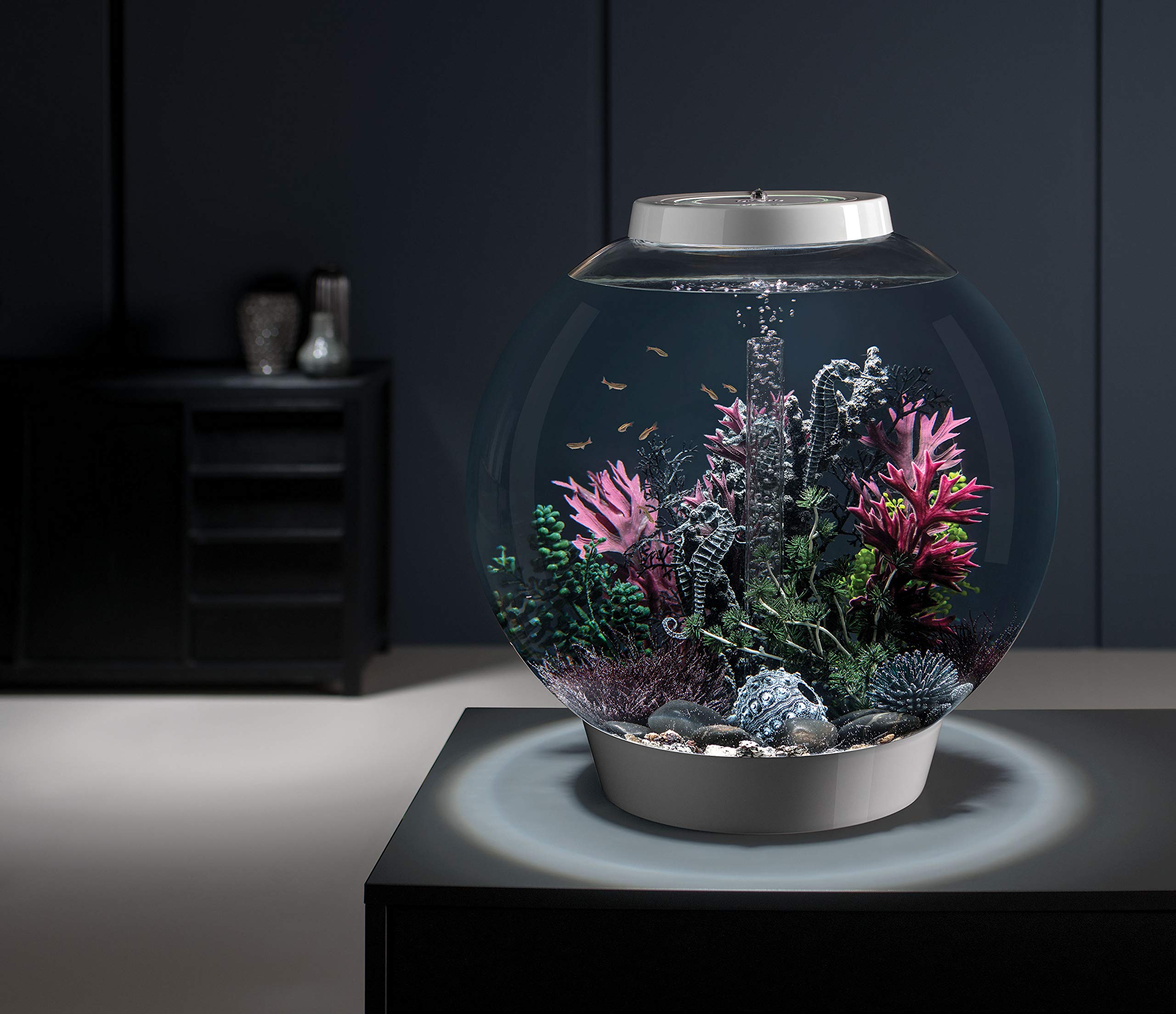 biOrb CLASSIC 60 akwarium ze zintegrowanymi diodami LED (białe, 60 l)