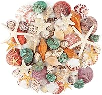 Jangostor 70+ Mixed Beach Seashells & Natural Starfish (1.5-3") - Ocean Shells for Vase Fillers, Crafts, Fish Tanks & Beach Party Decor