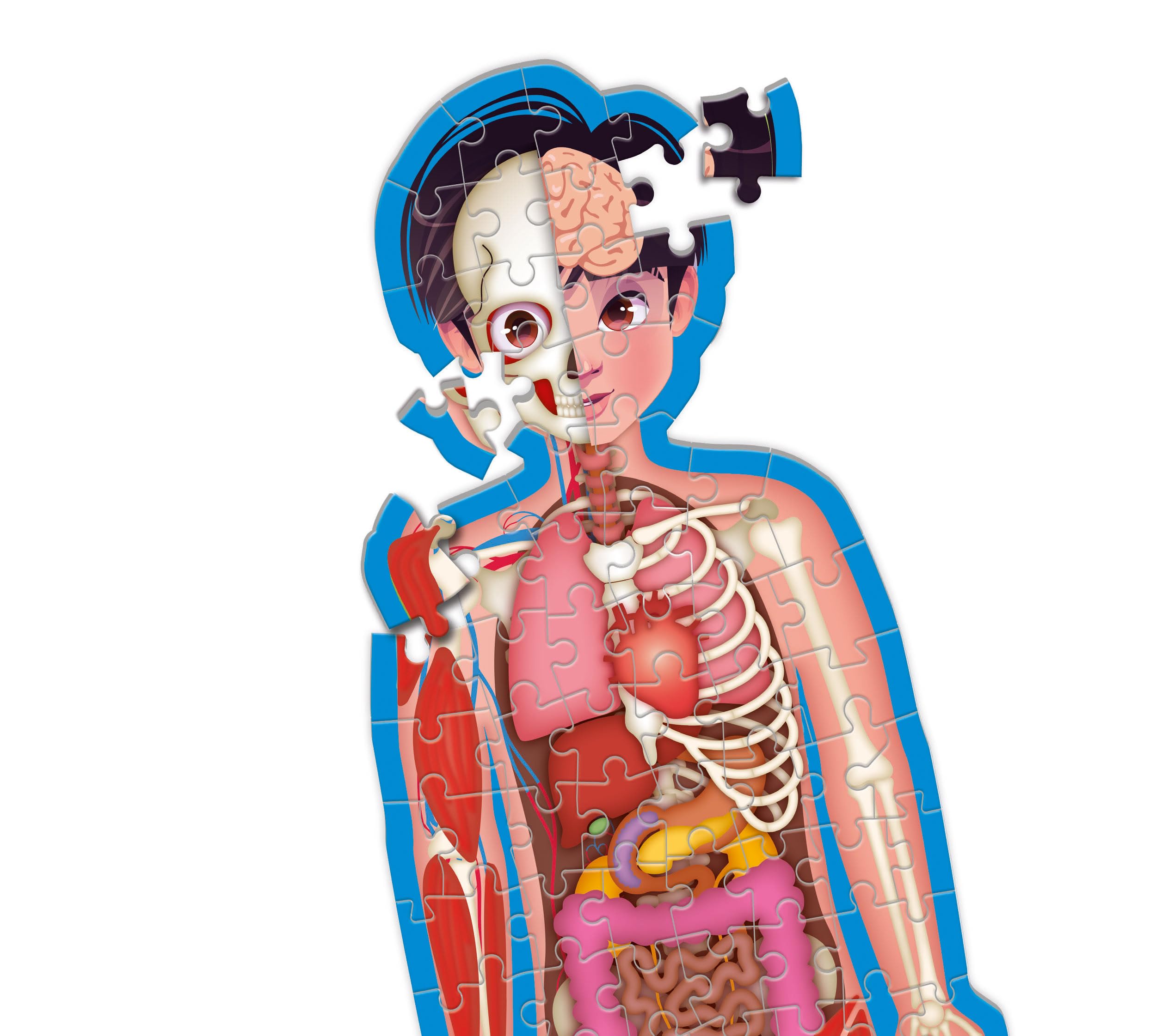 Clementoni Sapientino più - Il Corpo Umano, Gioco Educativo per Bambini 6-10 Anni, per Scoprire Anatomia e Scheletro, con Puzzle di 1m e Schede Educative, Made in Italy, Lingua Italiana, 16471
