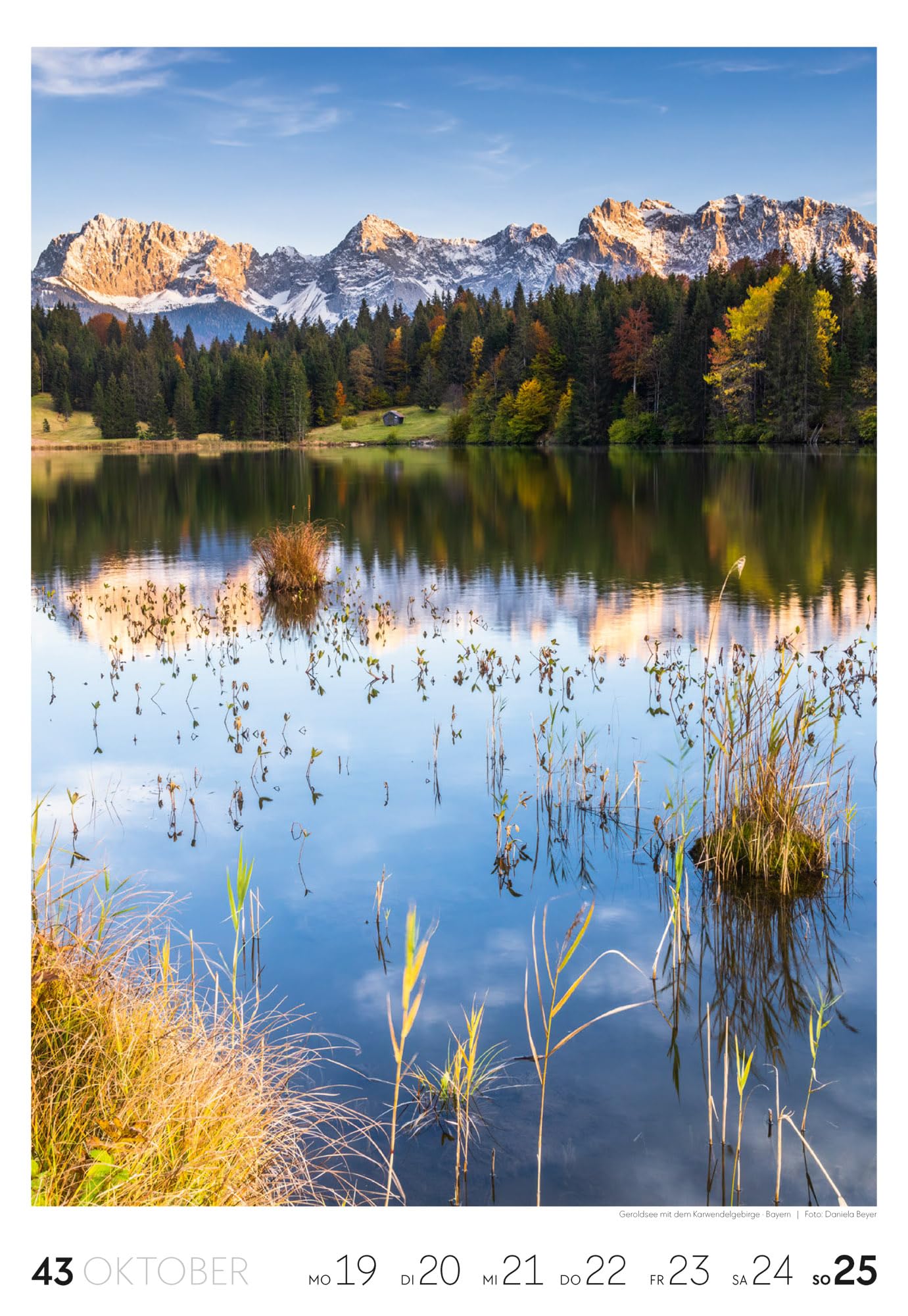 Natur Wochenkalender 2026 | Natur-Kalender mit 53 großformatigen Bildern im Hochformat (29x42 cm) | Heimische Flora und Fauna