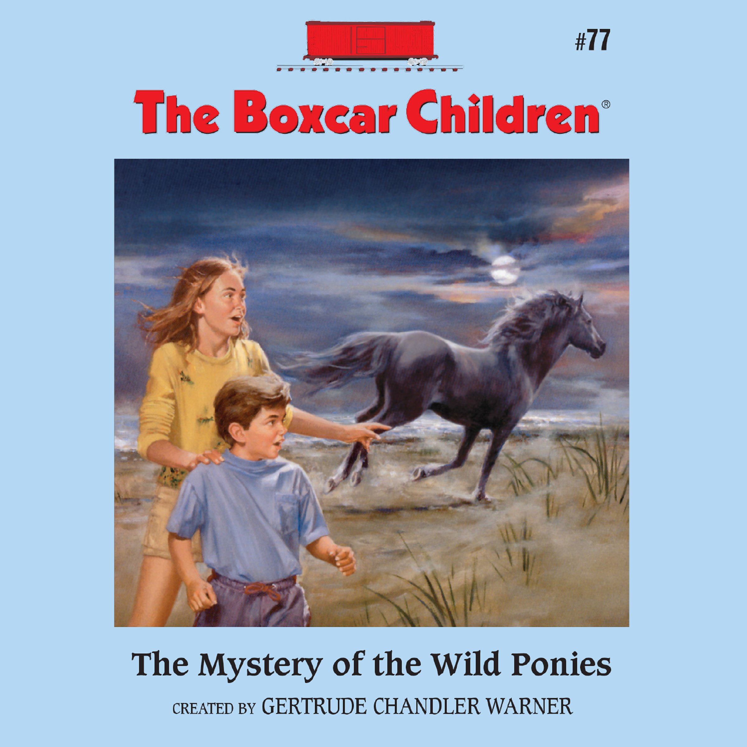 Cover art for The Mystery of the Wild Ponies