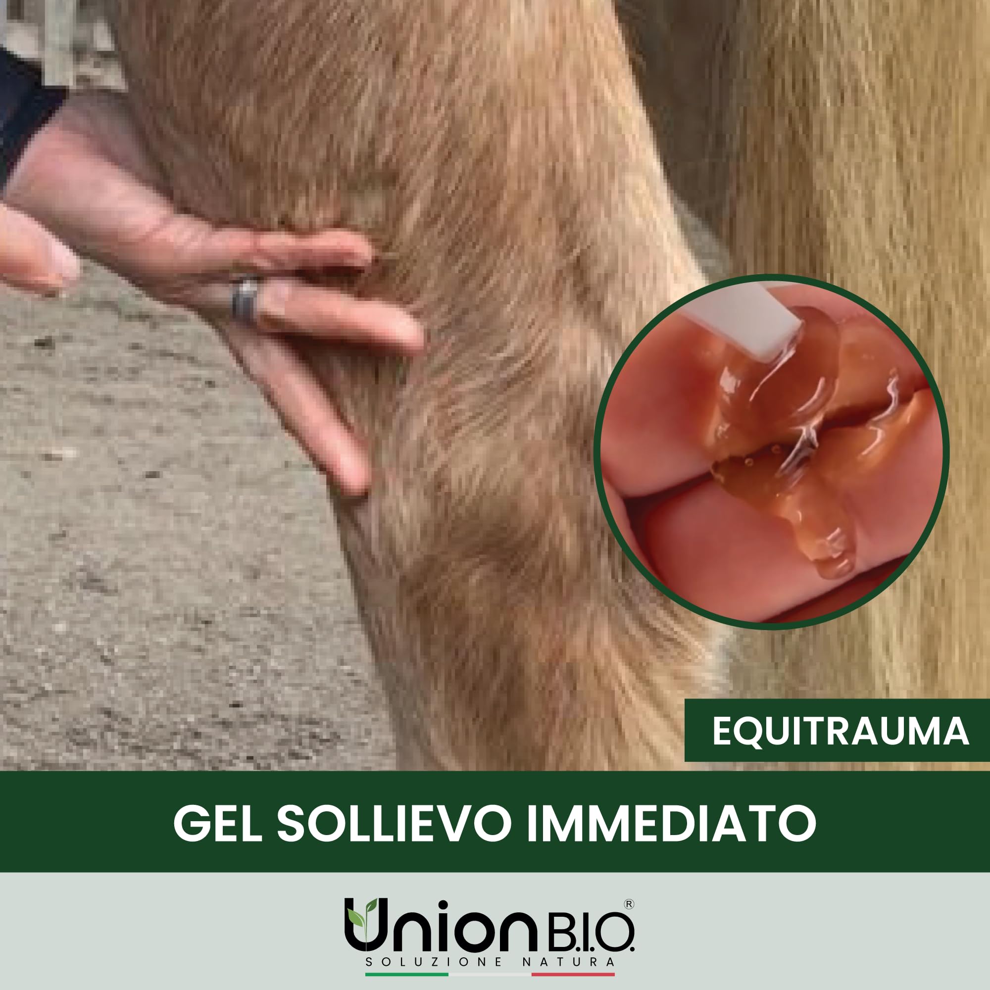 UNION B.I.O. SOLUZIONE NATURA Equitrauma Gel Arnica Montana per Cavalli e Uso Umano 4LT