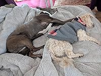 Review Image by Design Girl Design Girl