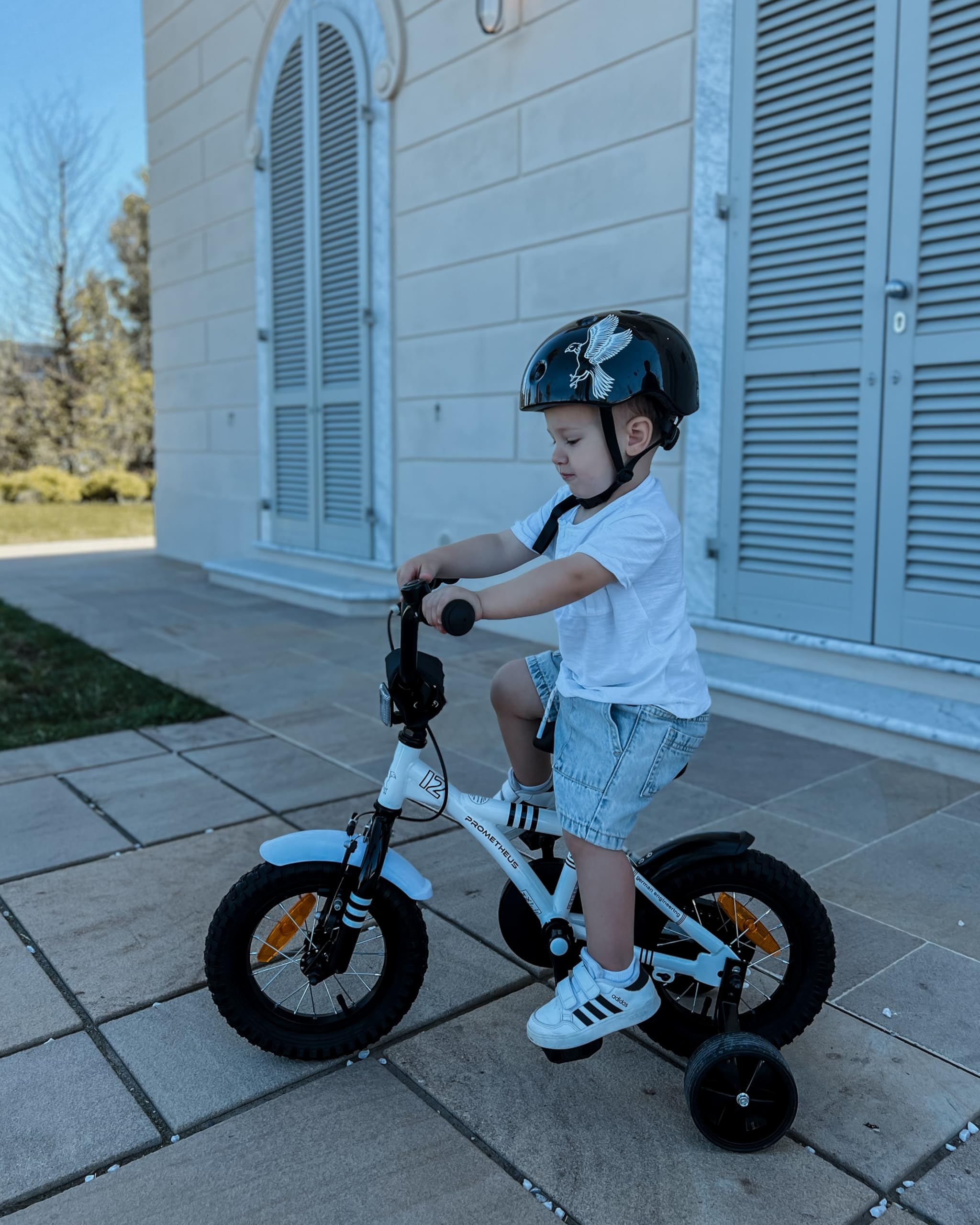 Prometheus Velo A Roulette Garcon Vélo Enfant PRO 20 Pouces à