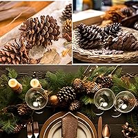 Vista 4 de 12 piñas de 3 a 4.5 pulgadas de alto, paquete a granel en una caja protectora, totalmente naturales, sin insectos, adornos de piñas grandes