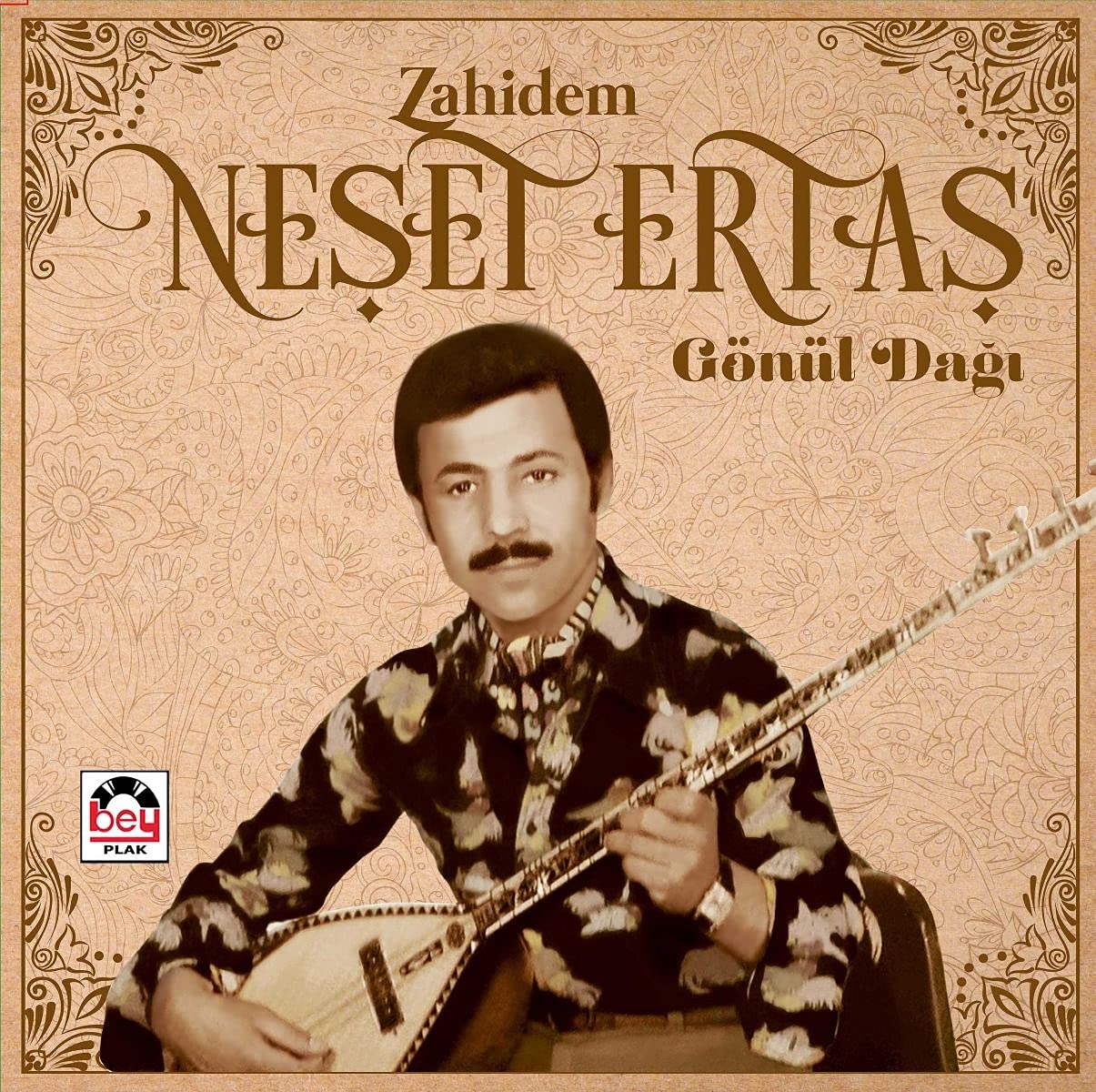 GEREKSİZ ŞEYLER Neşet Ertaş Zahidem Gönül Dağı Plak