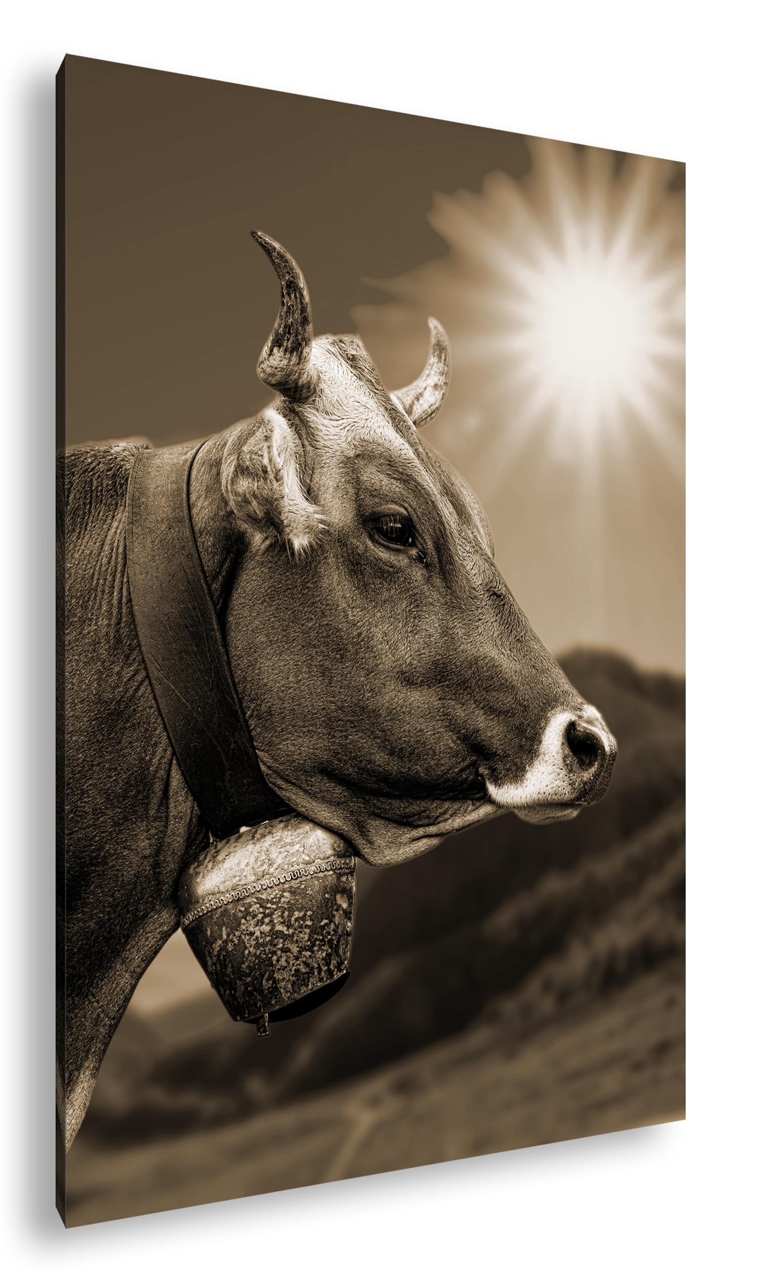 Elegante mucca alpina Formato: 120 x 80 Effetto: Seppia come tela, motivo già incorniciato su cornice in vero legno, stampa digitale di alta qualità con cornice, senza poster o manifesto