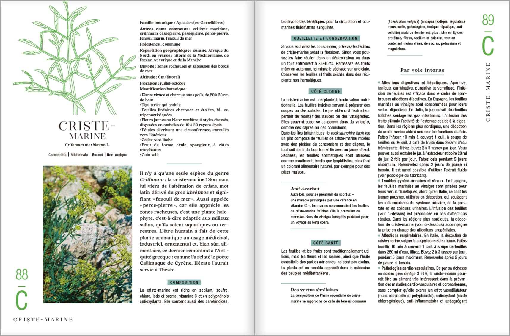 Le guide des plantes sauvages. 100 plantes essentielles aux vertus bienfaisantes - Identification, cueillette, préparation, conservation, propriétés ... plantes essentielles aux vertus bienfaisantes