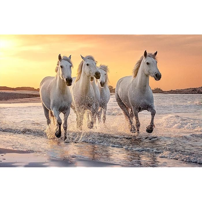 Buy Camargue Horses, 1000 Piece Jigsaw Puzzle for Adults and Kids