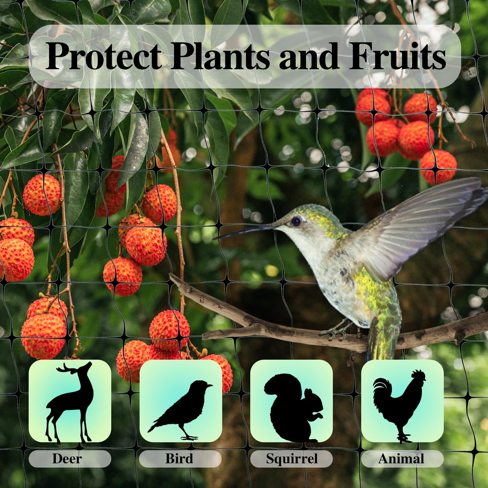 Meanchen Filet à Oiseaux Pour Jardin De 4,6 X 4,3 M, Filet De