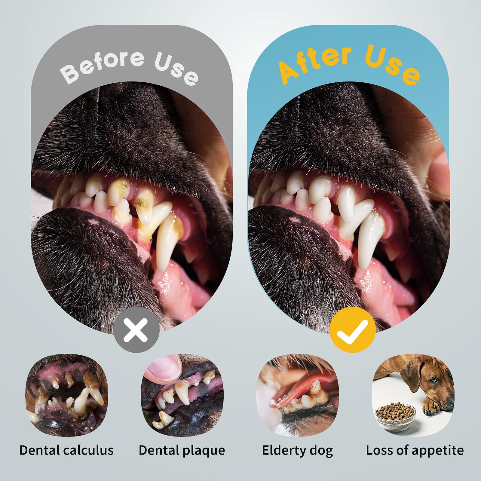 Dog Tooth Brushing Kit, 3-in-1 Dog Electric Toothbrush with Water Flosser, Dog Teeth Cleaning Tools with 3 Modes, Deep Cleaning Kit for Dogs and Cats, IPX7, 1100mAh Battery, White - image 6