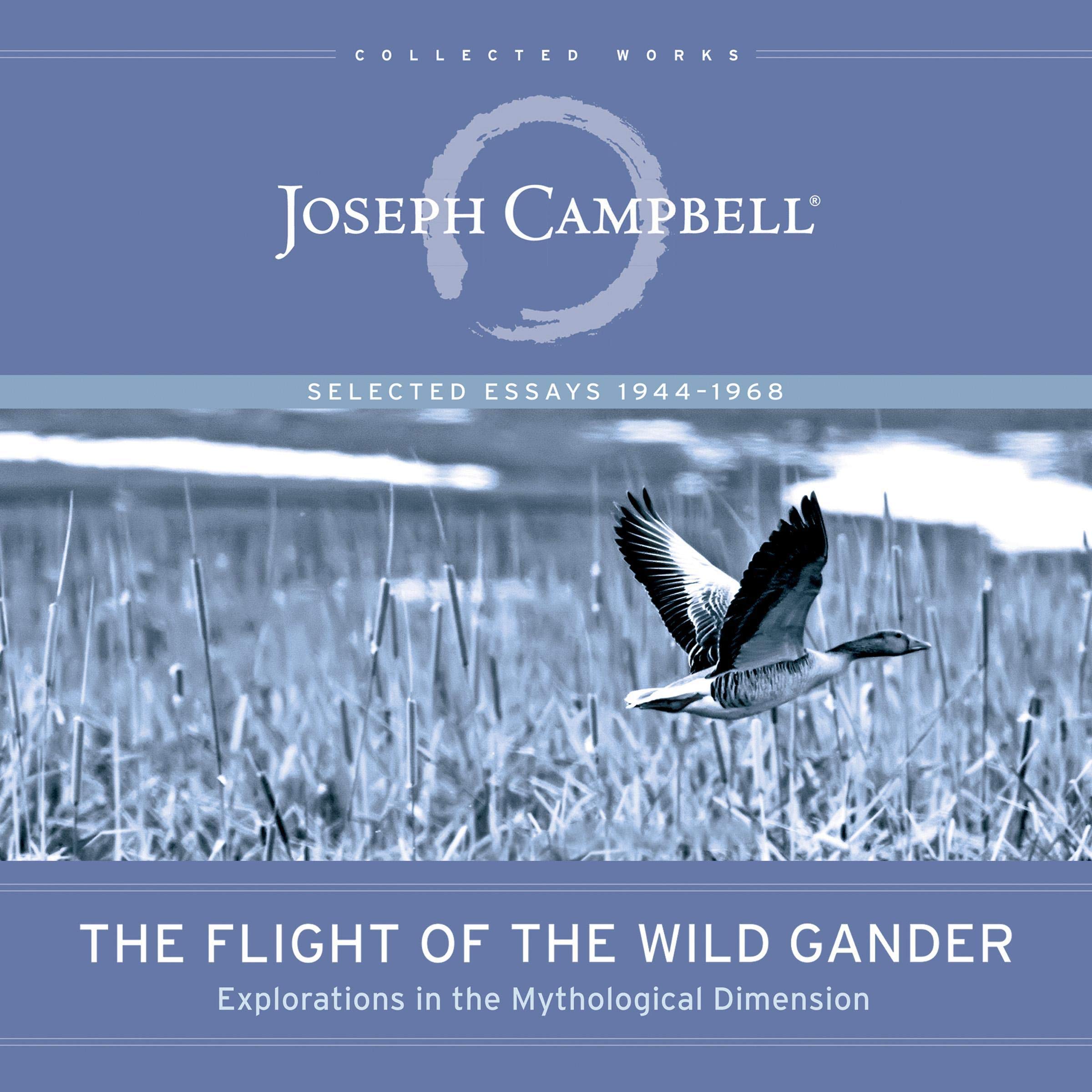 Cover art for The Flight of the Wild Gander