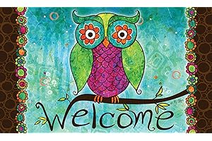 Toland Home Garden Rainbow Owl Welcome Door Mat: Hoot in Style!