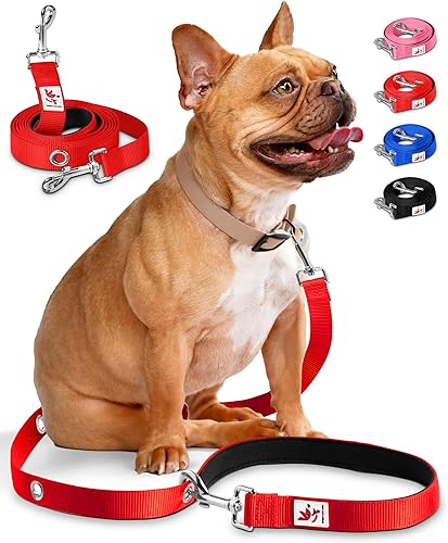 Miniatura 14 de Correa de perro manos libres para entrenamiento, correr, correa de cintura y hombro para caminar, correa de tráfico, correa doble para mascotas