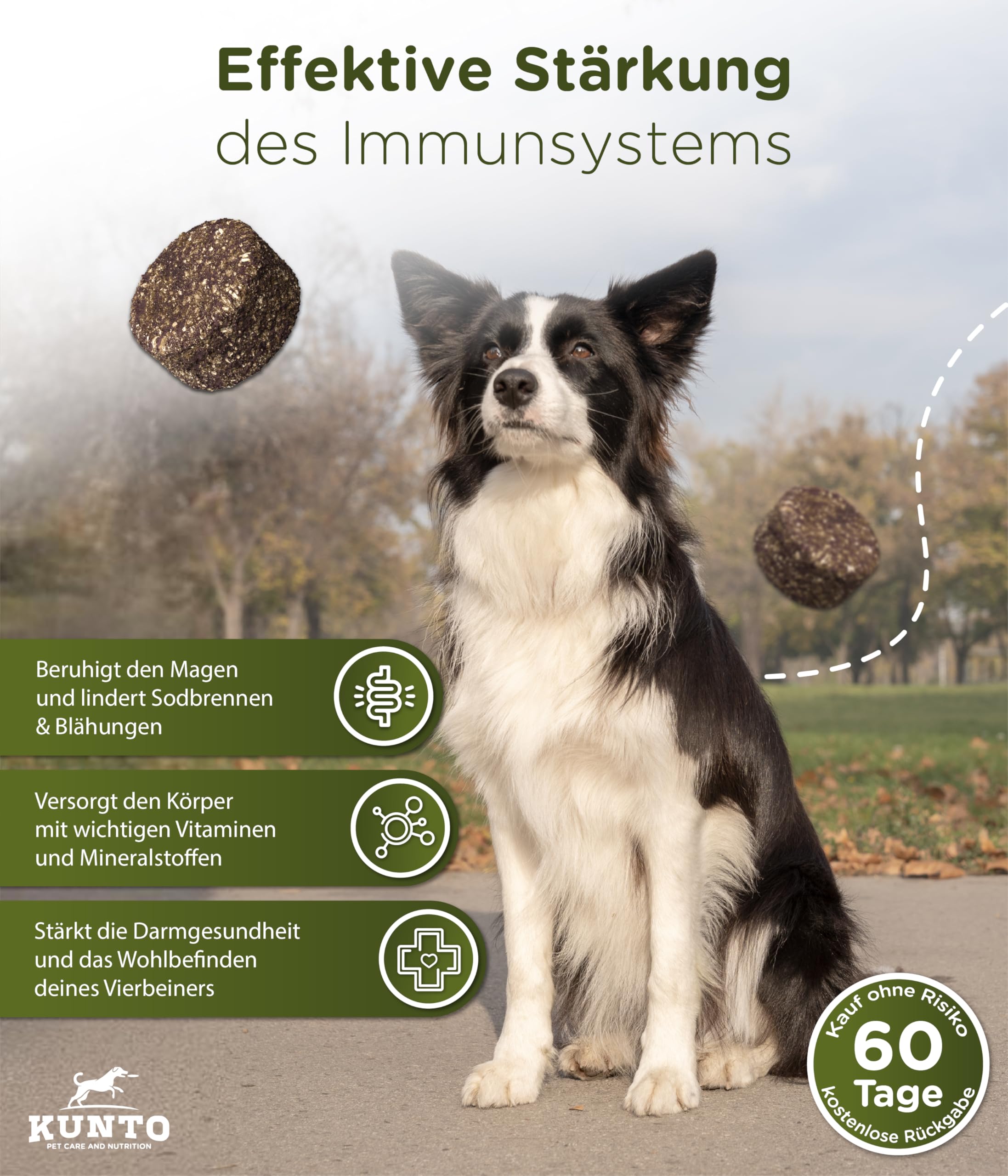 KUNTO® Gras und Kotfresser Drops Hund – Grasfresser und Anti-Kotfressen Hilfe bei Sodbrennen, Übersäuerung und Magenschutz – Natürliche Kräuter, Rindfleischgeschmack – Deutsche Herstellung (350g)
