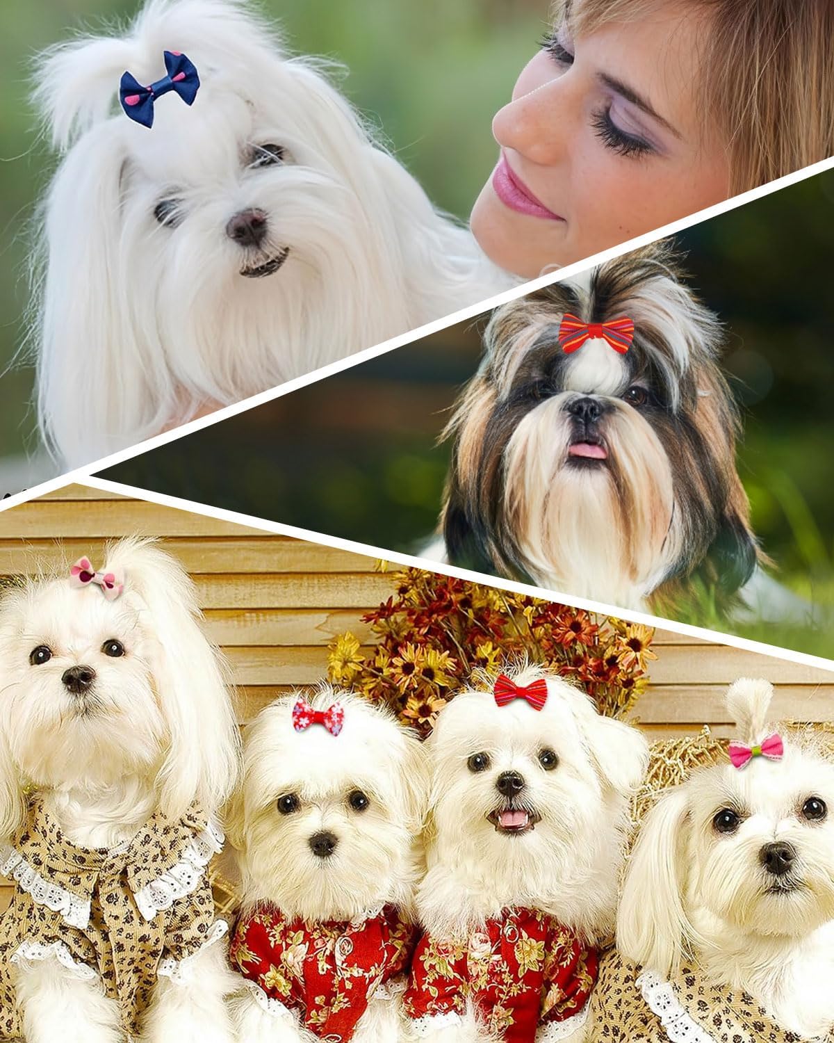 Dog Hair Bows, Dog Hair Bows Dog Hair Accessories with Bands for Small Dogs, Cats and Puppies, Random Colors (20 pcs) 7