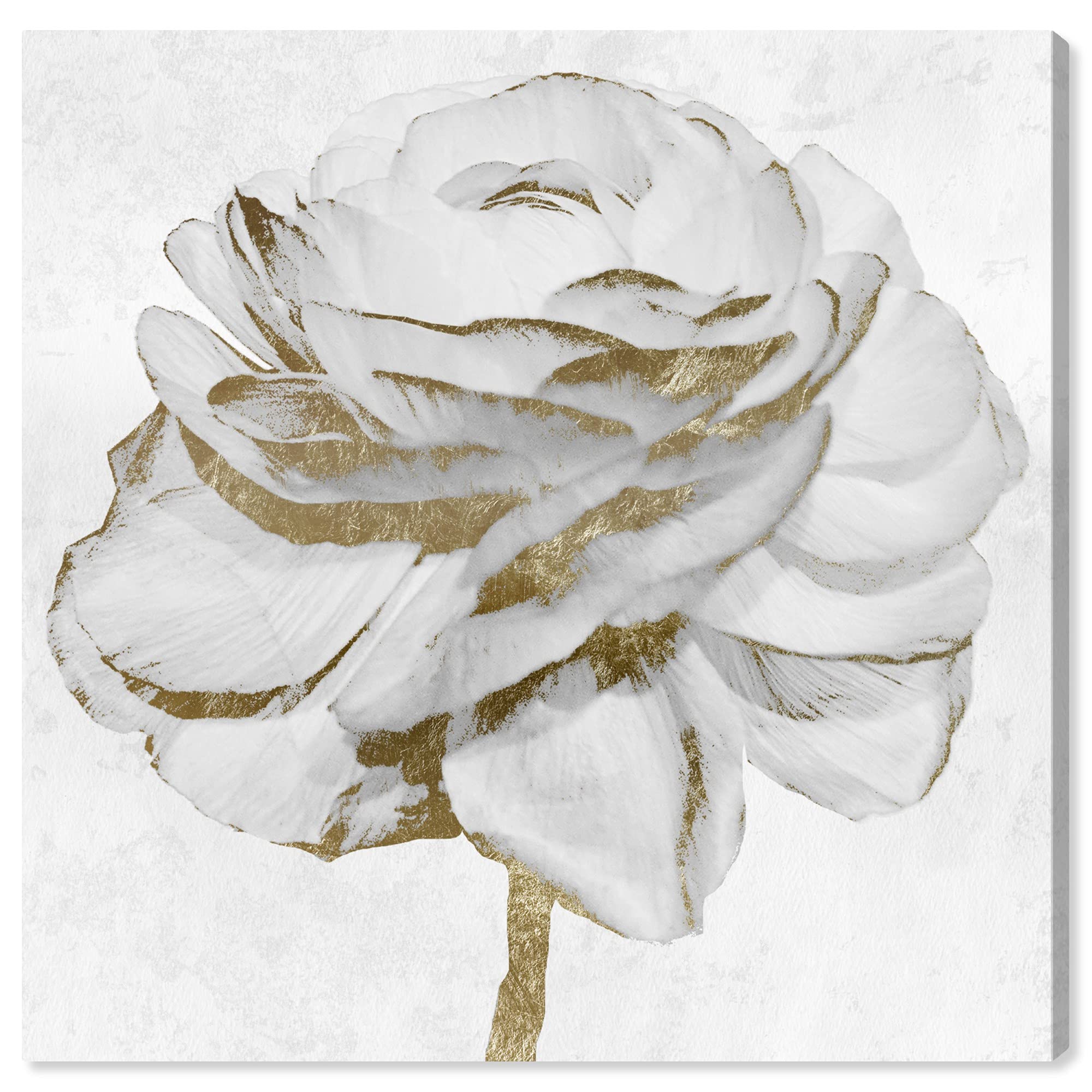 Oliver Gal White Gold Peony, Canvas