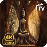 Golden Buddha Screensaver - Meditation Music & Zen