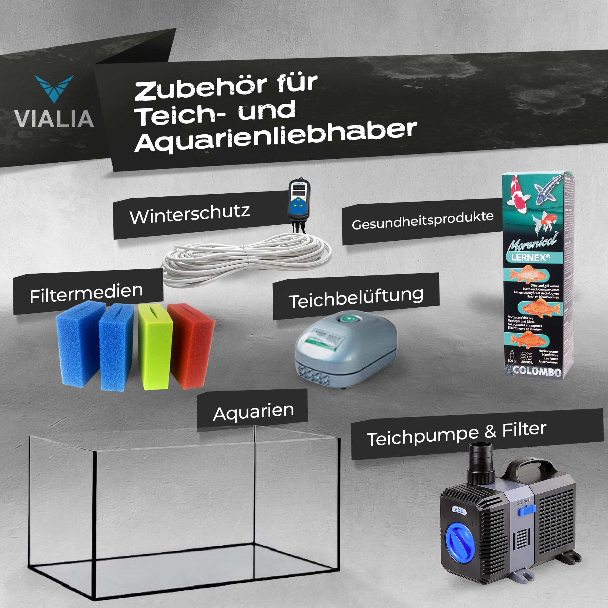 Aquarium 12 Liter Glasbecken 30x20x20 cm | Stoßfest verklebt & diamantgeschliffene Kanten | Kratzfestes Floatglas | Für Süß- & Salzwasser | Becken für Fische, Garnelen & Wasserpflanzen