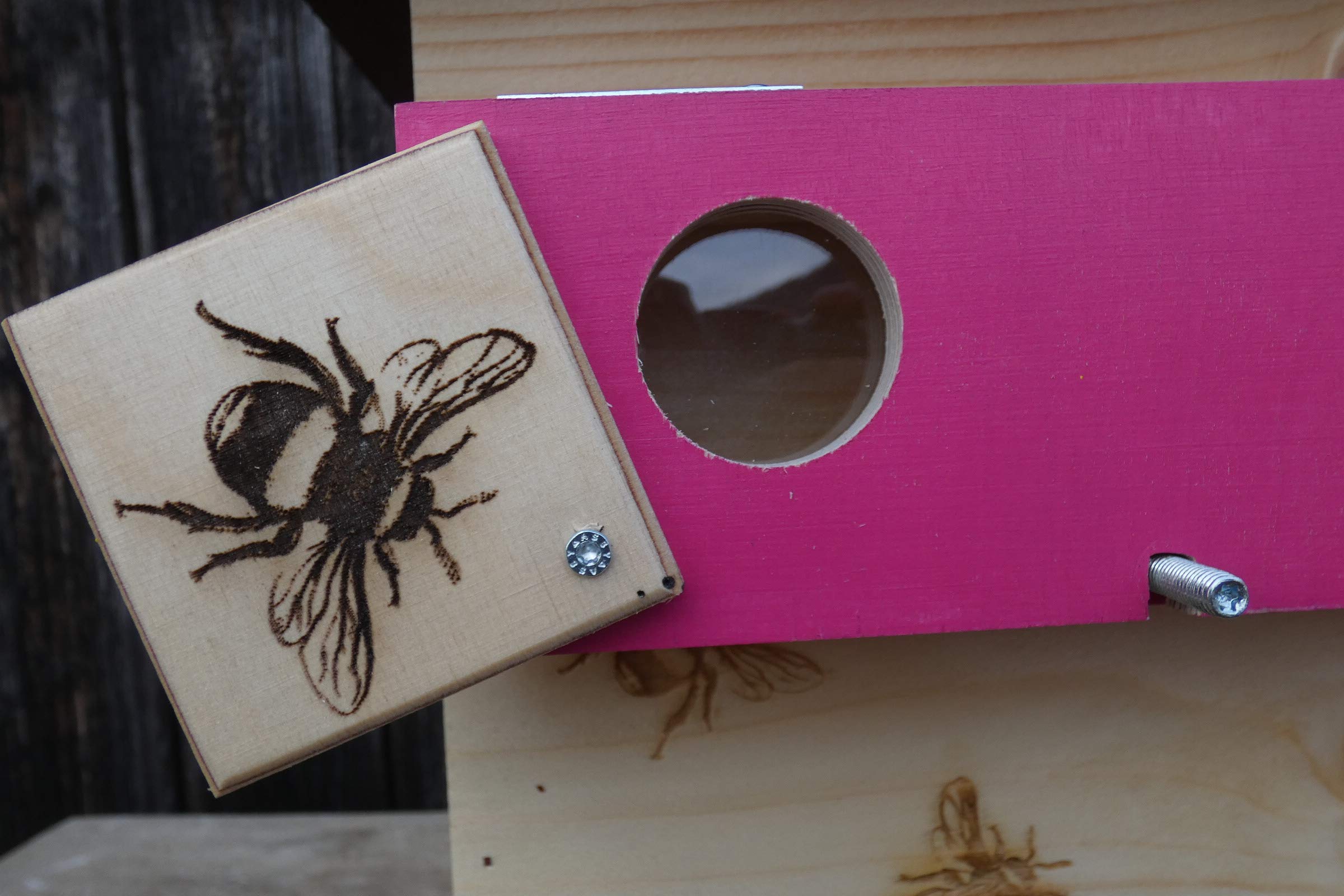 Profi XXXL Hummelkasten mit Wachsmottensperre und Zufütterung, 2X Sichtfenster und Nistmaterial geflammt oder Imprägniert Wetterfest Bienenhaus Hummelhaus Nistkasten Hummelvilla Bienen Insektenhaus