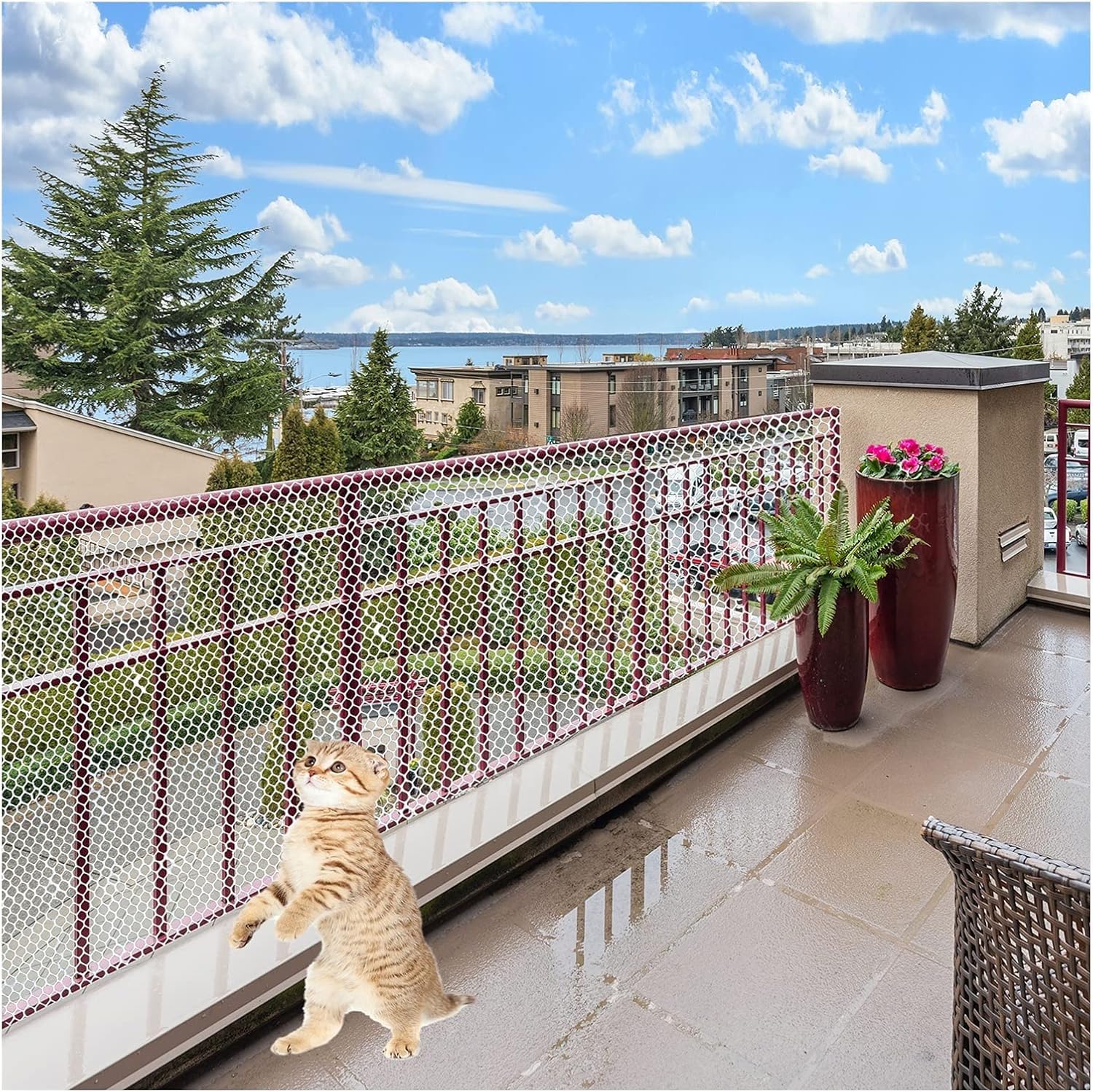Rete di Protezione per Gatti, Rete di Protezione per Balconi, per Patio, Casa, Impedisce La Caduta di Oggetti, Protegge I Bambini, Allevamenti di Pollame da Giardino, Tagliabile, White, 50cmx900cm