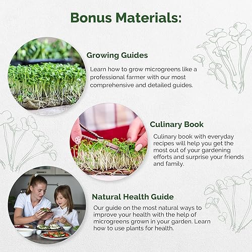 Miniatura 5 de Paquete de 14 semillas de germinación de pimiento dulce y picante y rúcula y microgreens, semillas de reliquia sin OMG para plantar en interiores y