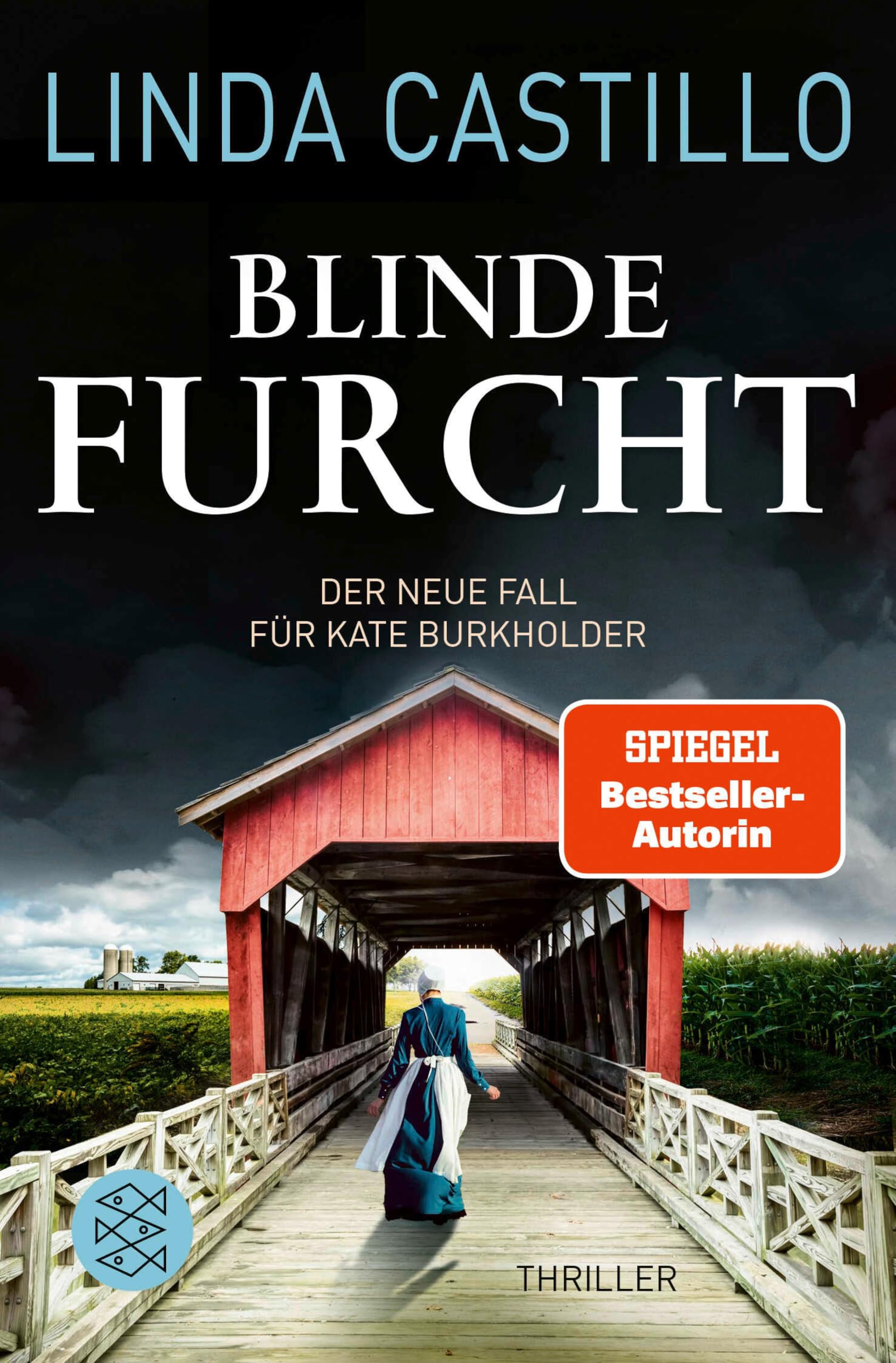 Blinde Furcht: Thriller | Spannender Thriller bei den Amischen (Kate Burkholder ermittelt 13)