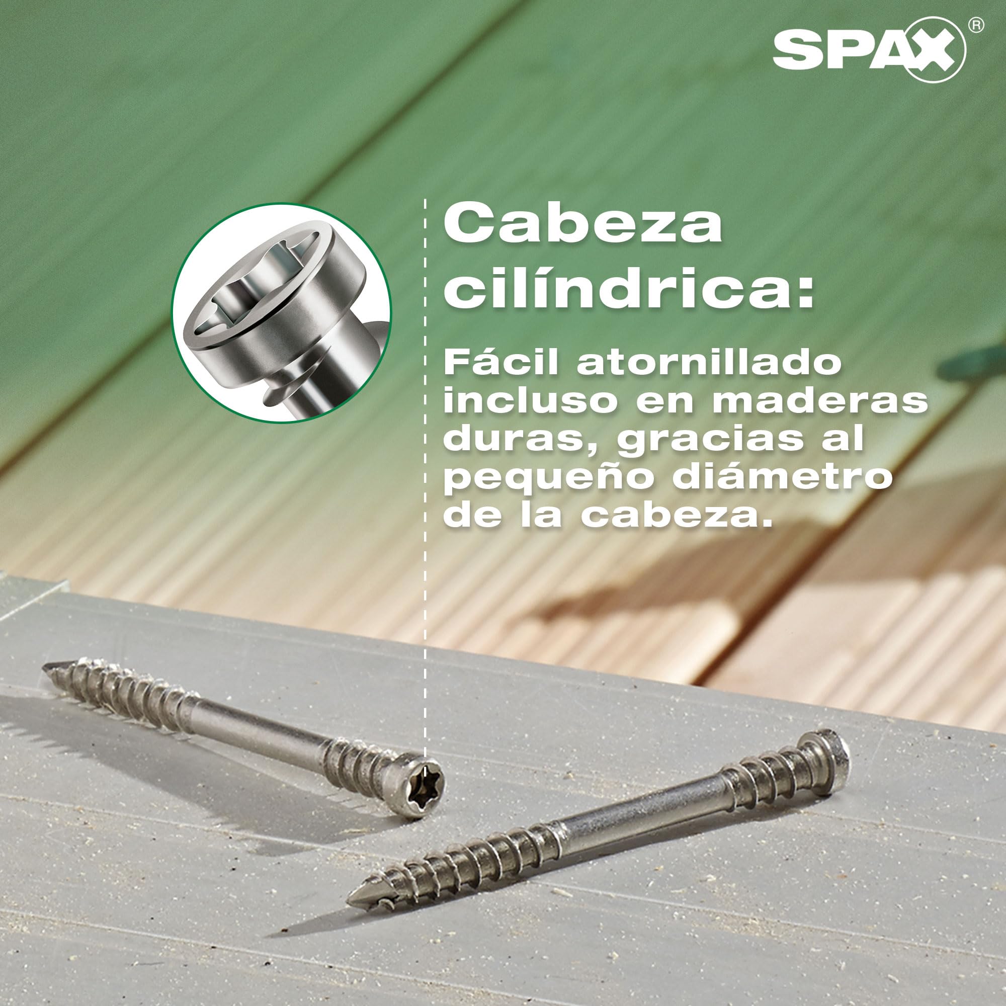 SPAX Tornillo para terrazas 5 x 60 mm, 360 unidades - Tornillos, rosca de fijación, cabeza cilíndrica, T-STAR plus T25, punta CUT, acero inoxidable A2-8000000276613