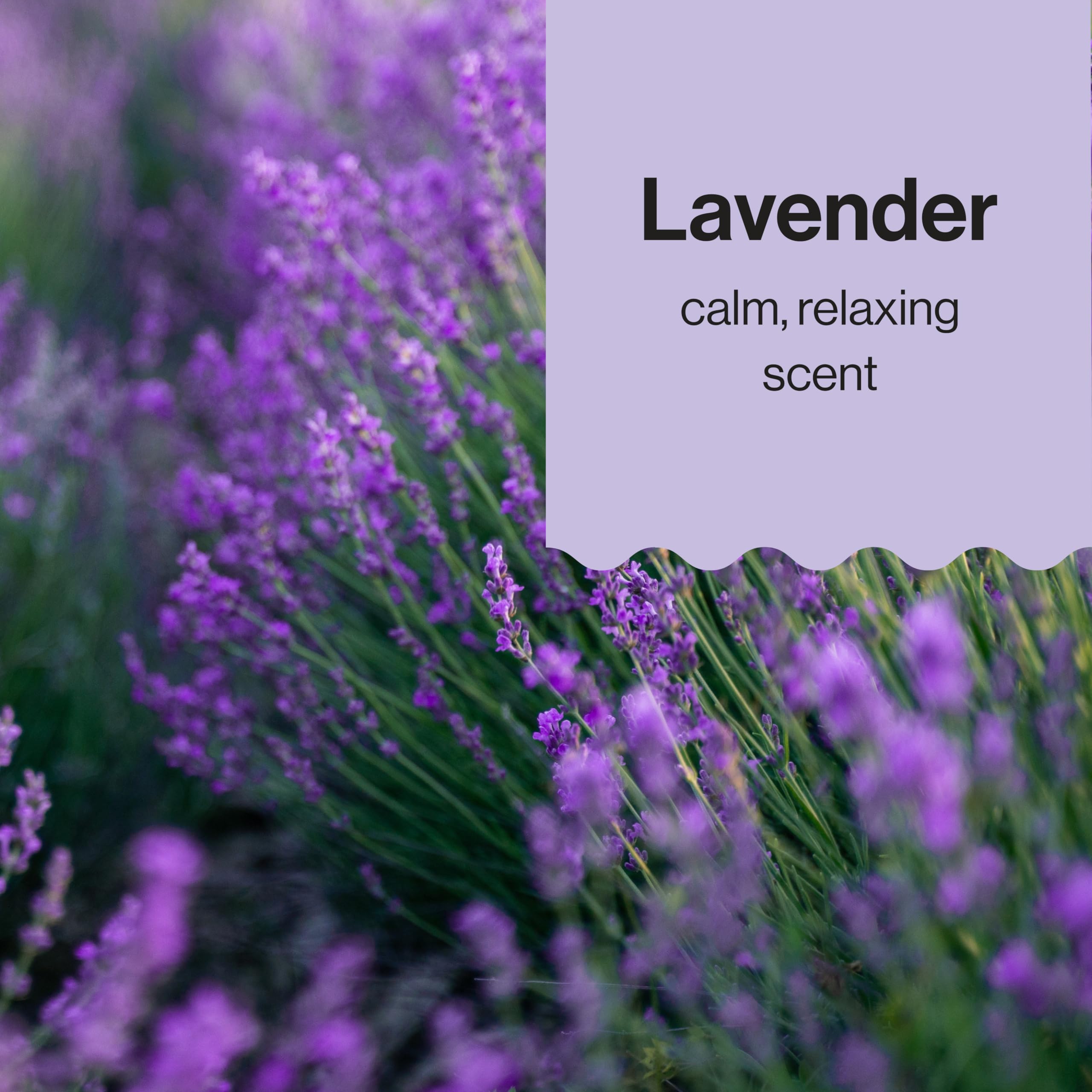 The Honest Company Hydrating Face and Body Lotion, Fast Absorbing, Naturally Derived, Hypoallergenic, Fragrance-Free, Sensitive, 8.5 fl oz: Lavender Calm 8.5 Fl Oz (Pack of 1)