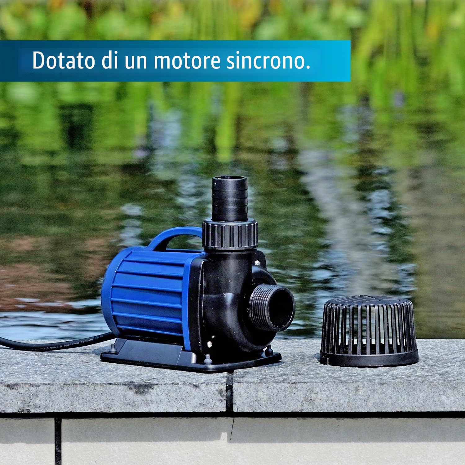 AQUAFORTE DM-6.500 Pompe per laghetti/filtri, 50 Watt, Portata ottima di 6,5 m3 all'ora, Altezza ottima di mandata di 4 Metri, Lunghezza Cavo 10 Metri, Adatto per corsi d'Acqua, cascate e filtri