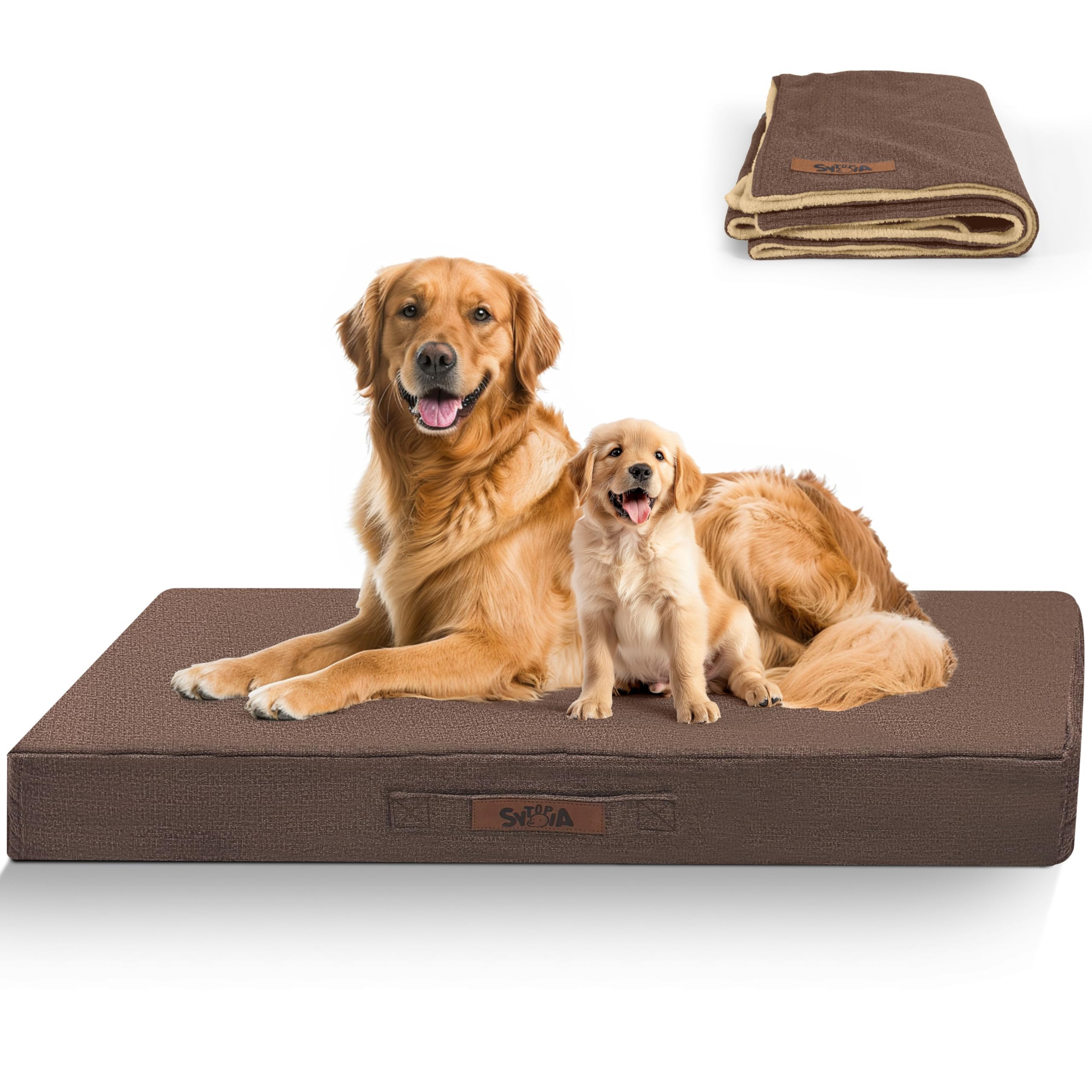 Amazon.com : Sytopia 42'' XL Outdoor Indestructible Dog Beds for