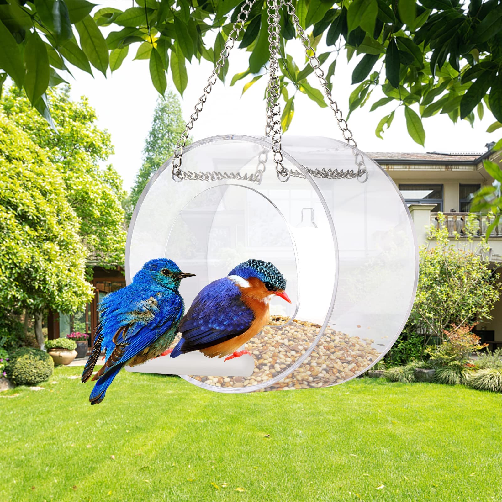 Comedero inalámbrico para pájaros con cámara, observa pájaros de cerca con visión nocturna HD, ventana de visualización clara y soporte con ventosa. Incluye tarjeta de almacenamiento de 16 GB