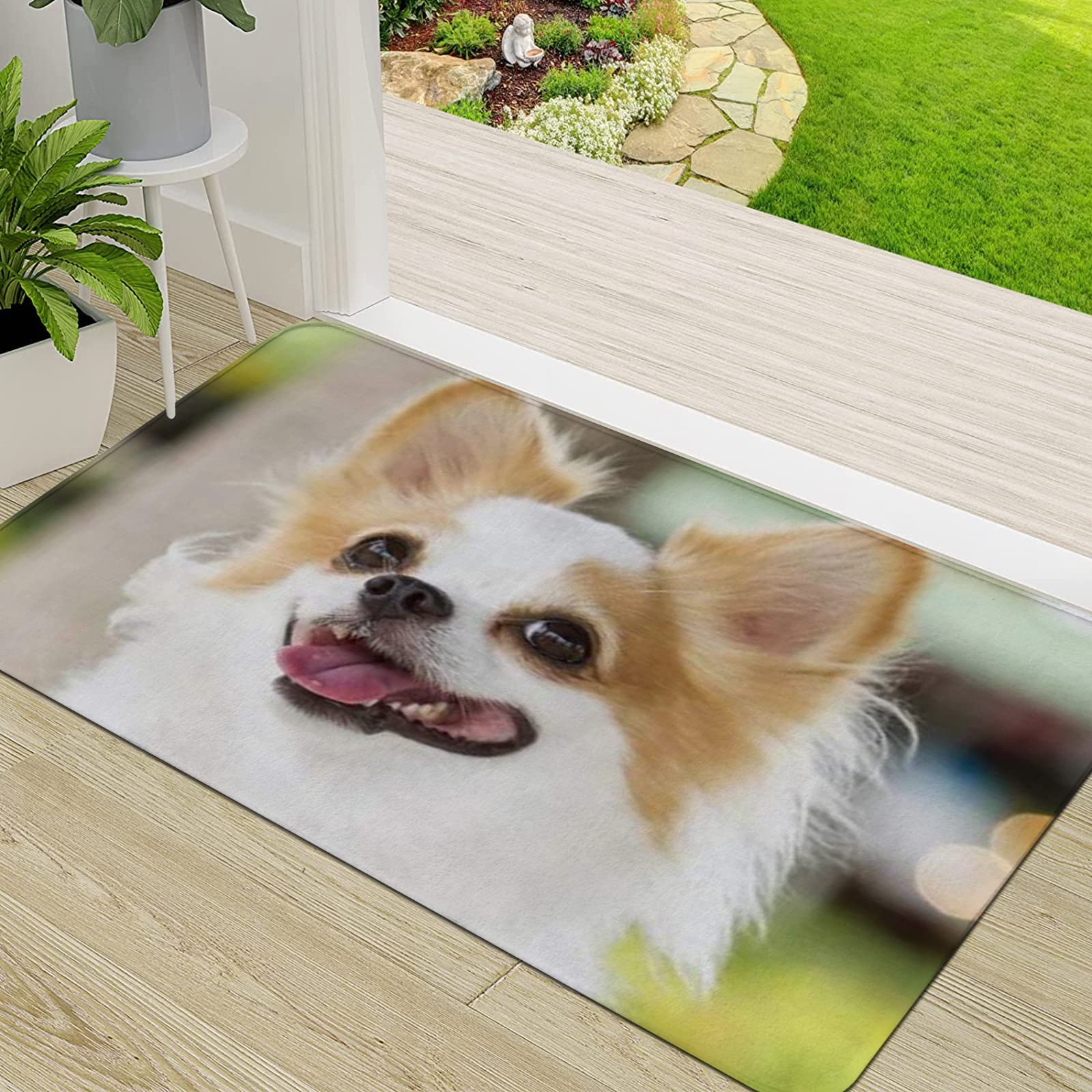 ERICAT Felpudo De Entrada,Adorable Lindo Cachorro Perro Animales Fauna Raza Calma Canino,Alfombra Absorbente Para Atrapar,Alfombrilla Antideslizante, Pasillo,Dormitorio,50x80cm