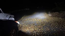 Review Image by Kamdyn Kamdyn